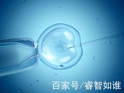 关于借卵代怀代生